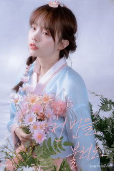 只爱你的菊花